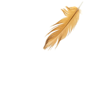 hen-feather-images-4