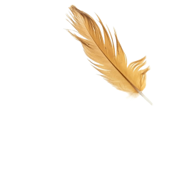 hen-feather-images