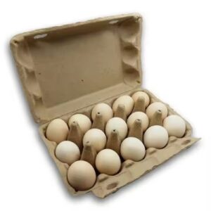 15 Pack Free Range Medium