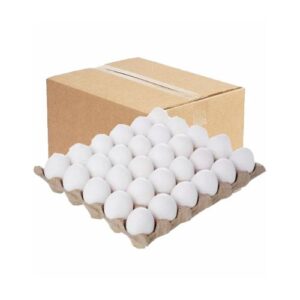 30 Pack Medium Per Tray